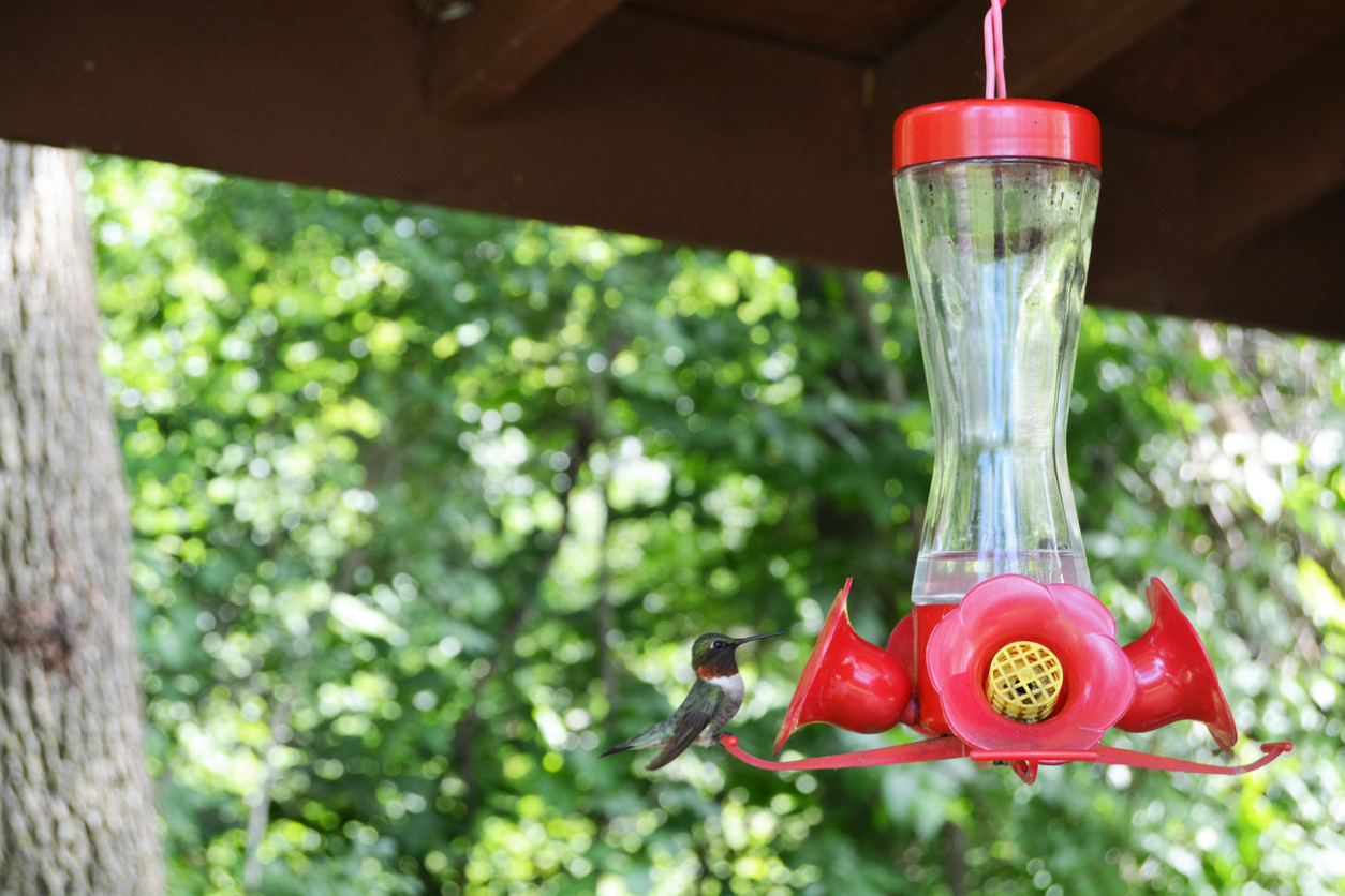 how to keep bees away from hummingbird feeders