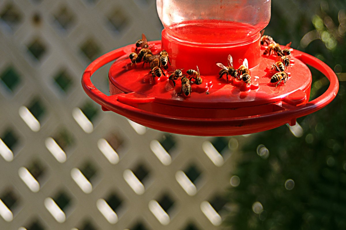 how to keep bees away from hummingbird feeders