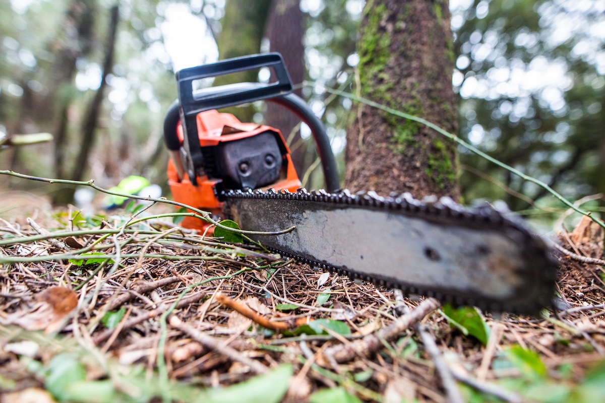 An orange and grey chainsaw sitting on bed of sticks in the woods. 