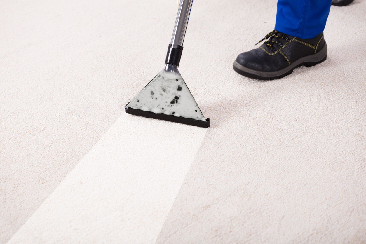 Carpet Cleaning Cost