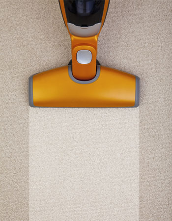 Carpet Cleaning Cost