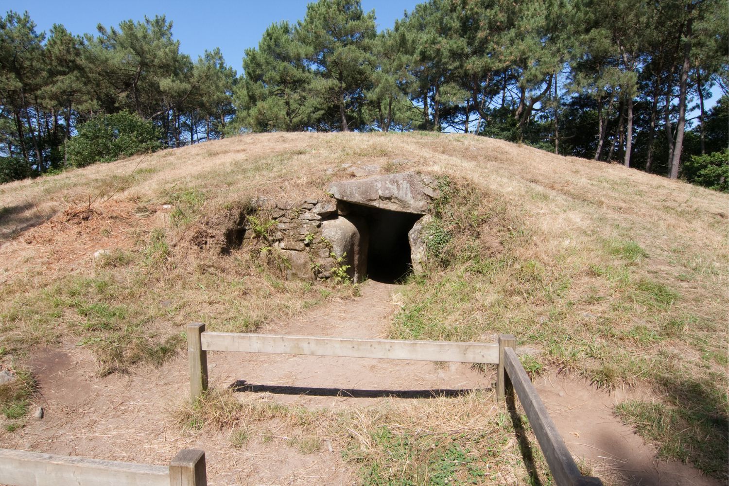 Storm Shelter Cost