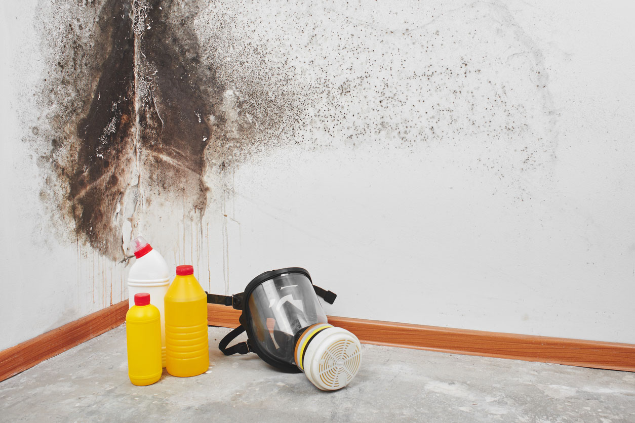 A view of cleaning products and a mask in front of a mold-covered wall.