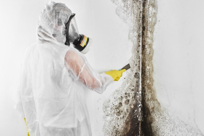 A worker in a white hazmat suit removes black mold on a wall.