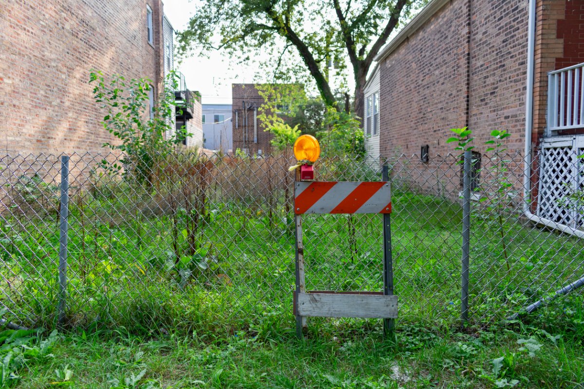 What Is Guerrilla Gardening?