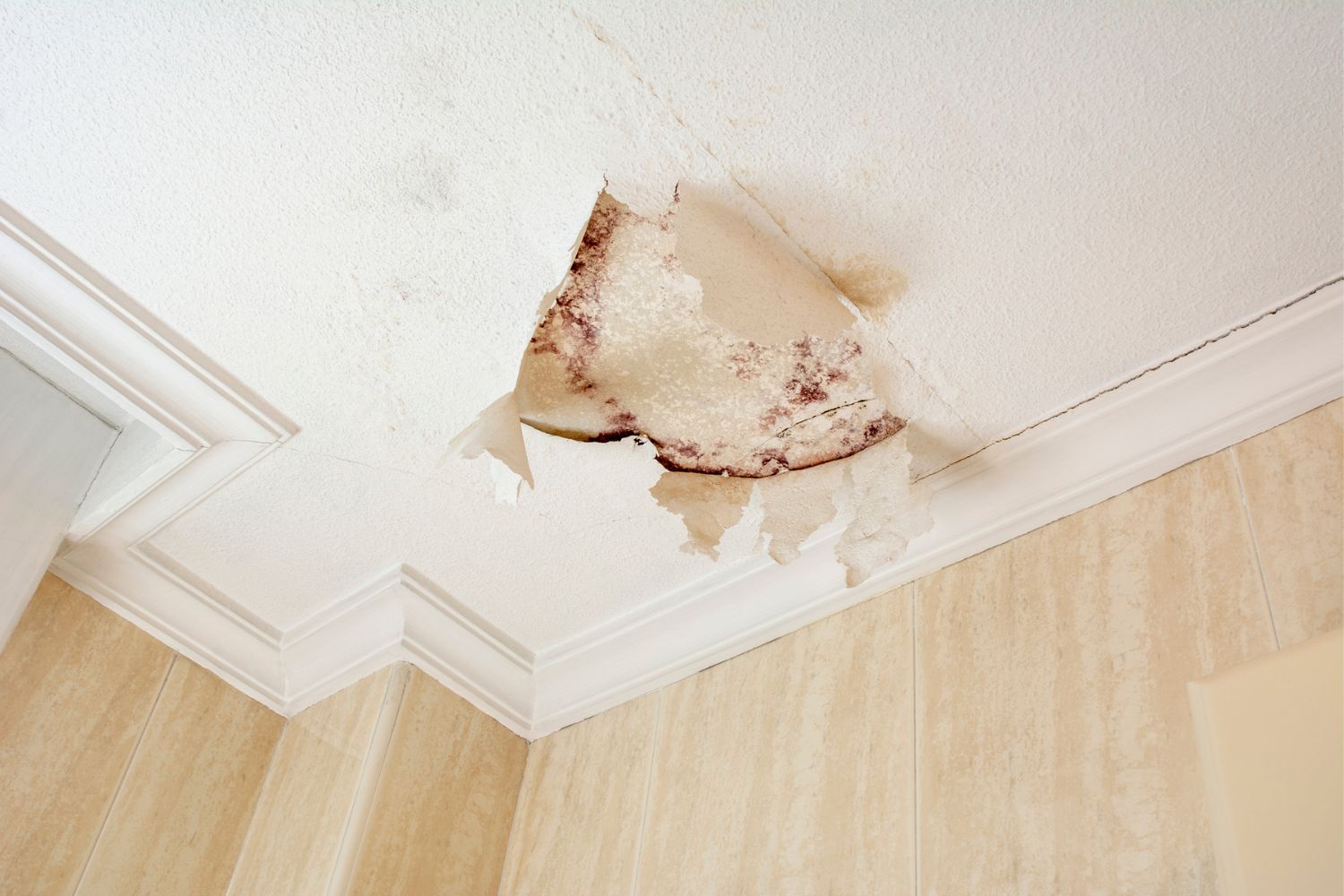 Who to Call for Water Leak in Ceiling