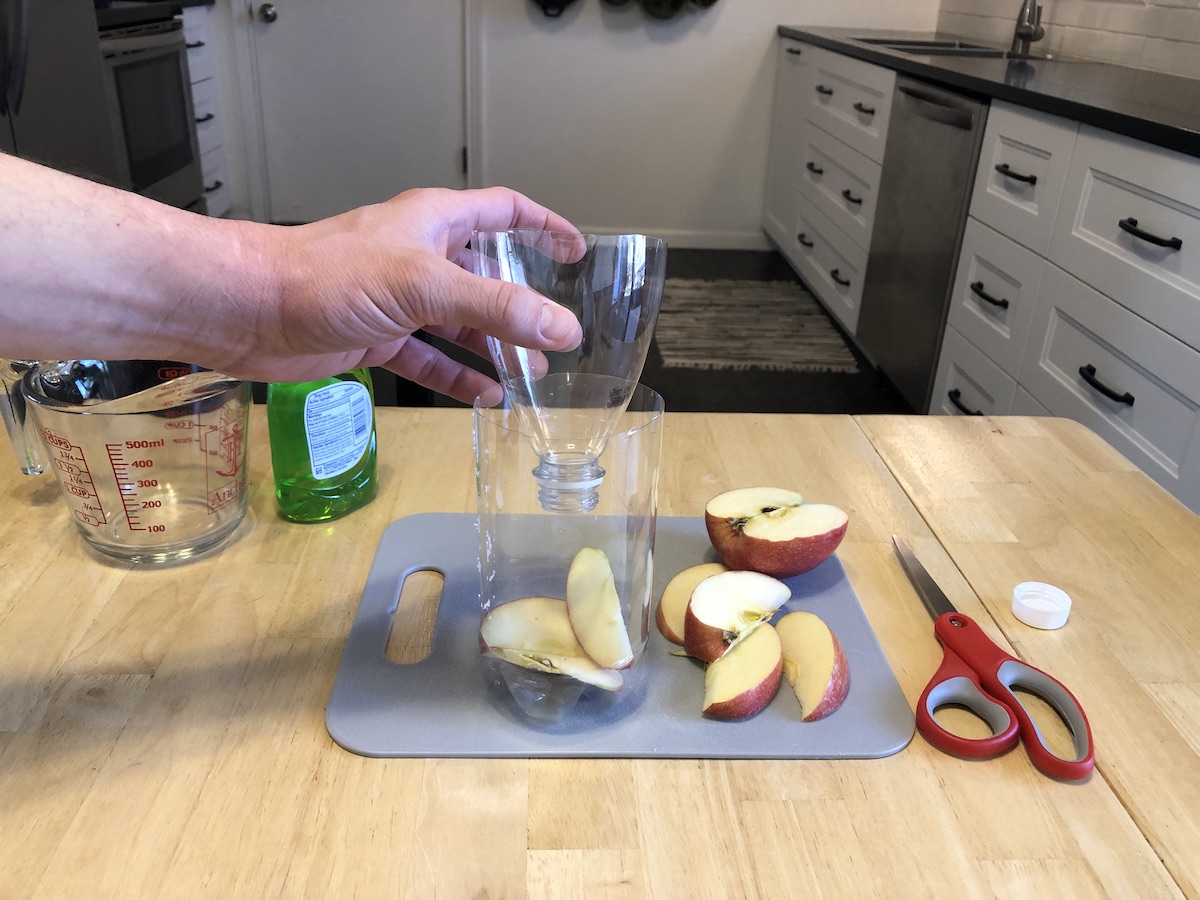 diy fly trap from plastic bottle