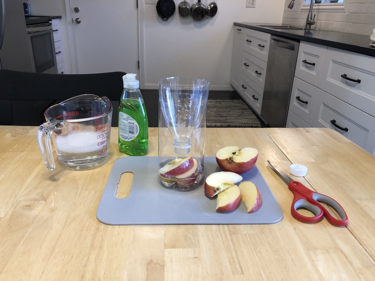 diy fly trap with upcycled plastic bottle and fruit