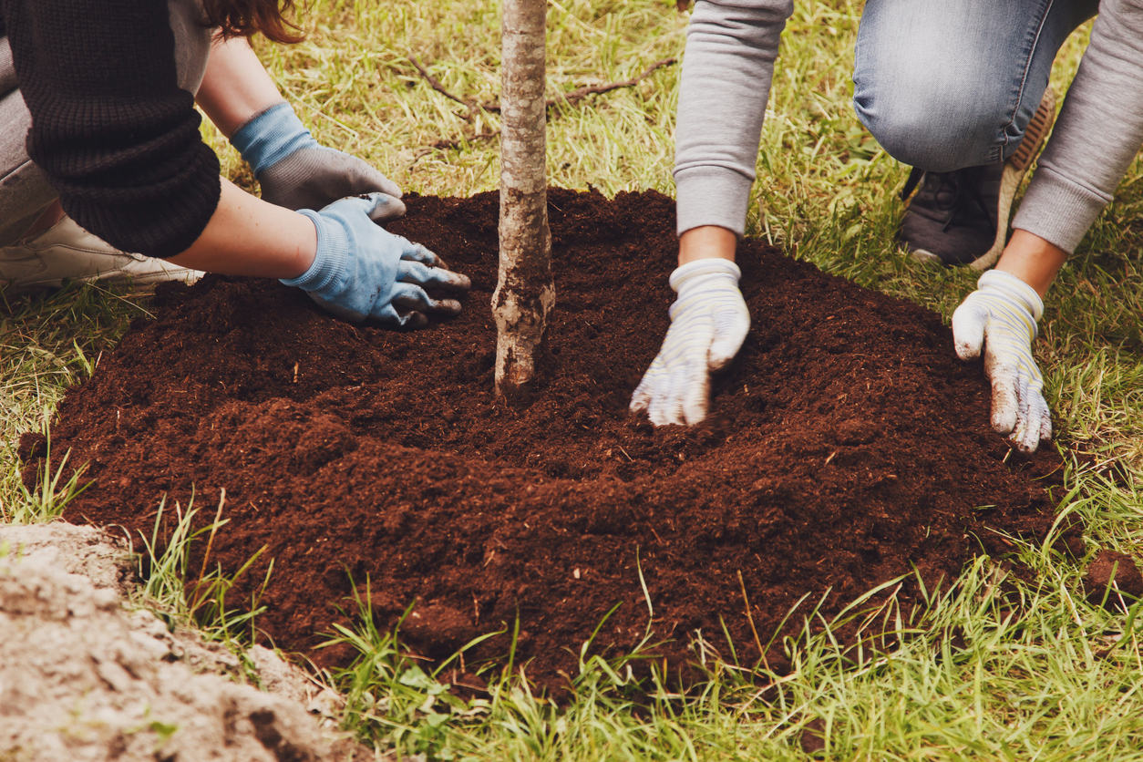 Bob Vila's 10 "Must Do" April Projects Young married couple in work uniform with shovel plant tree sapling in ground