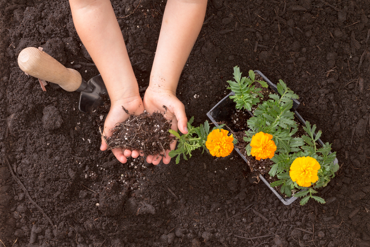 Try Scents to Send Pests Packing from Your Garden