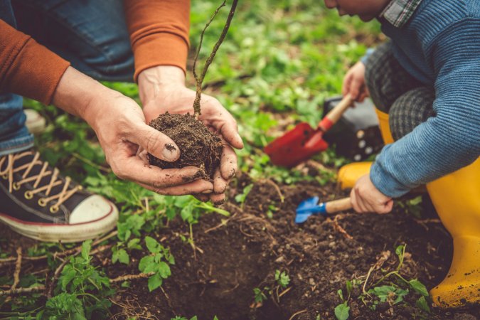 Parent wearing sneakers and child holding colorful garden tools planting tree