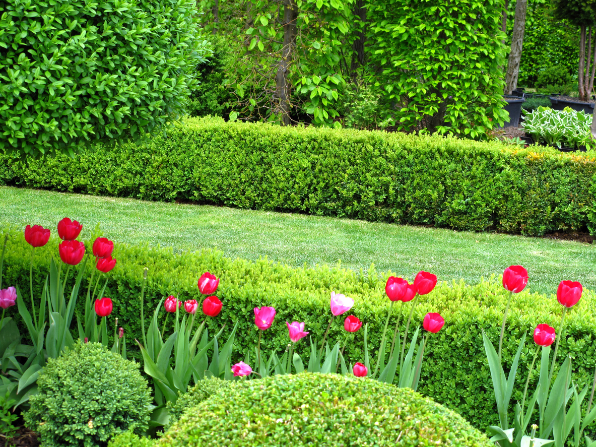 8 Landscaping Mistakes That Make a Home Look Outdated