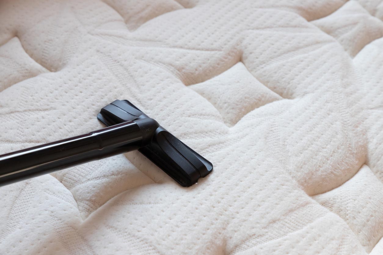 The Best Mattress Cleaning Services Options