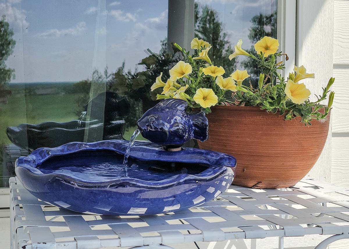 The Best Solar Bird Bath Fountain Options