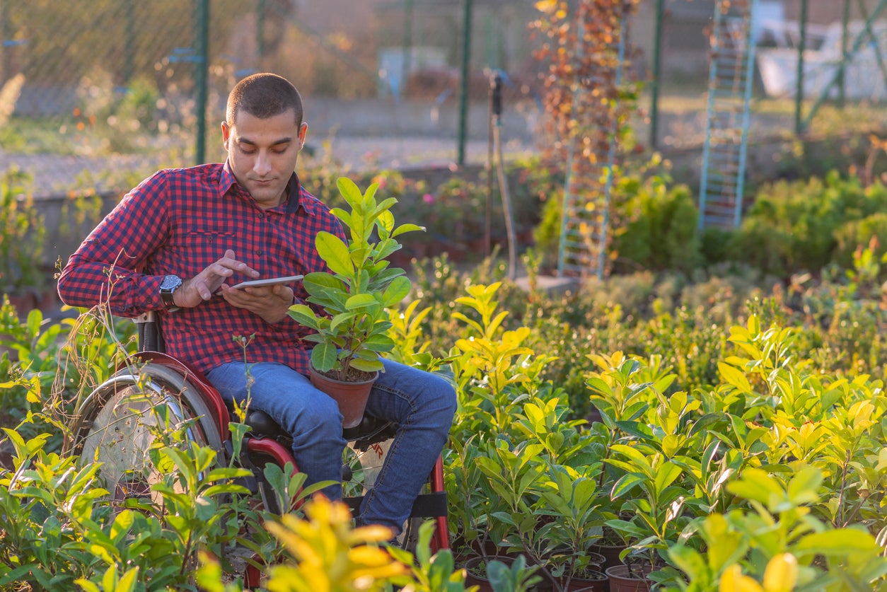 Man in wheelchair using phone at plant nursery