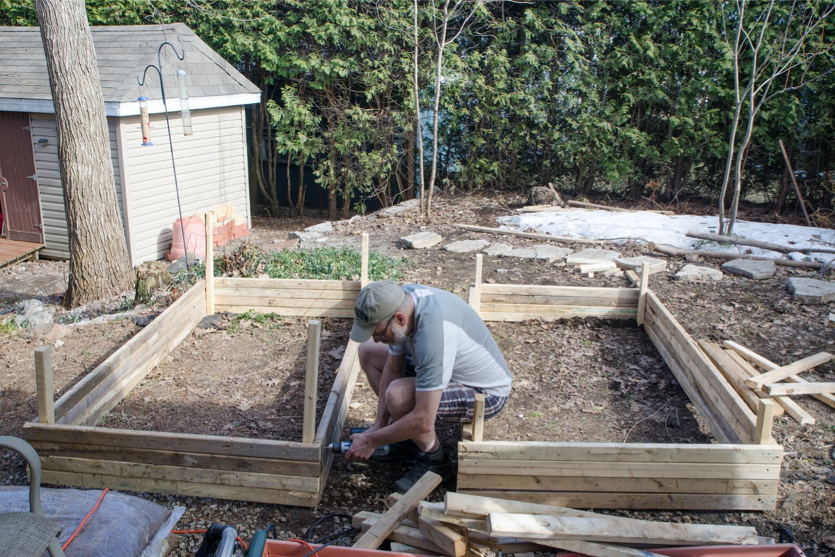 best wood for raised garden beds