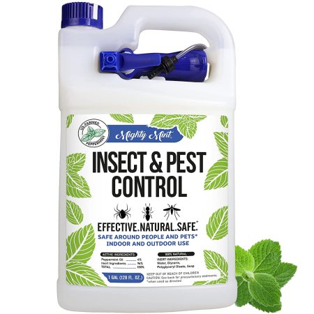  The Best Stink Bug Repellents Option: Mighty Mint Insect and Pest Control Peppermint Oil