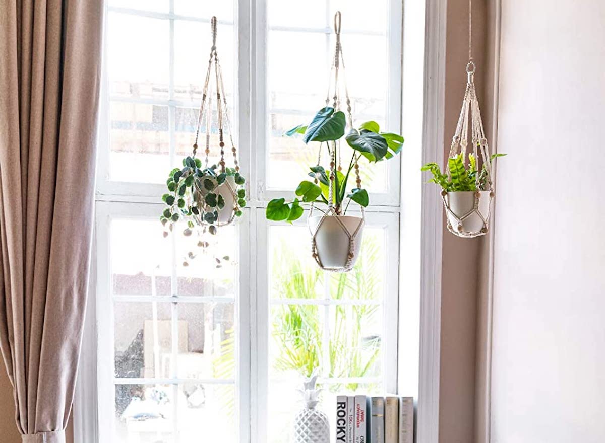 hanging planters