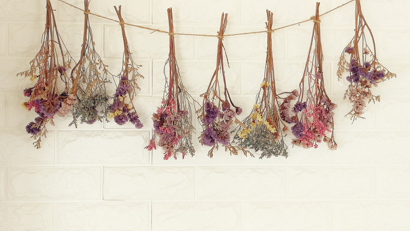 how to dry flowers