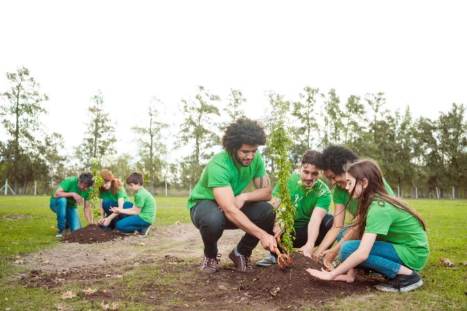 How to NOT Plant a Tree on Arbor Day