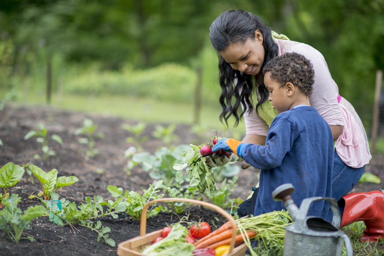 The 8 Biggest Outdoor Living Trends for 2022