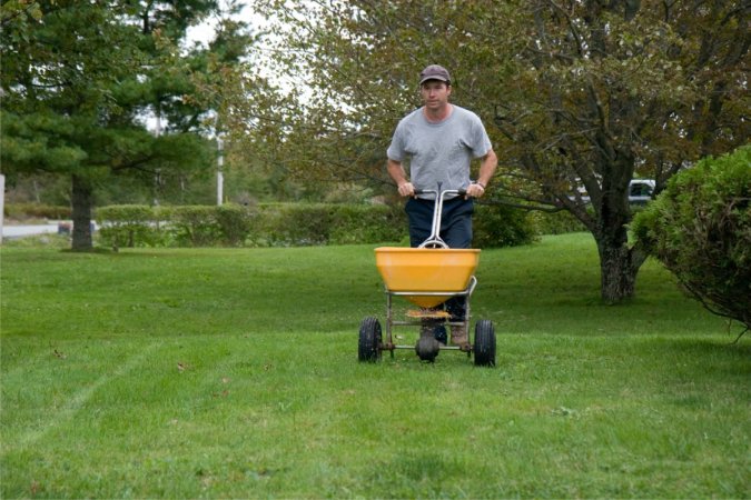 A man seeds a lush green lawn.