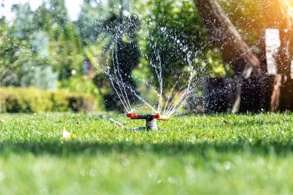 Your Most Frequently Asked Spring Lawn Care Questions, Answered - Bob Vila