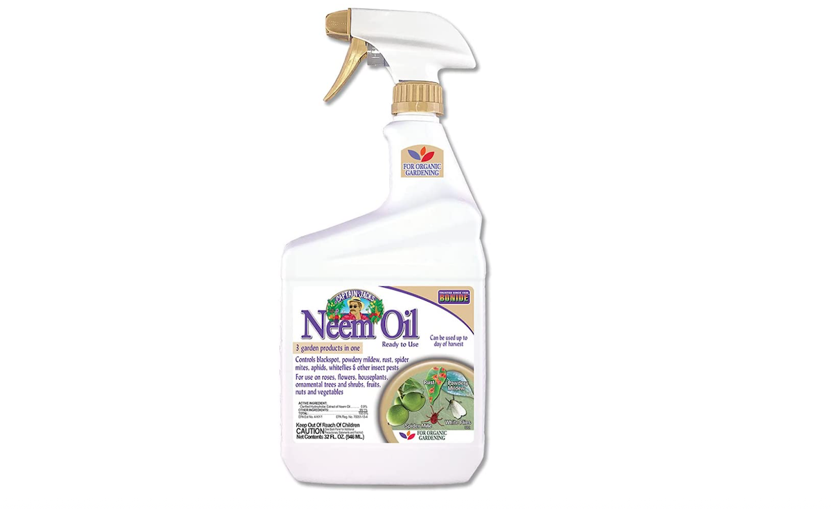 neem oil