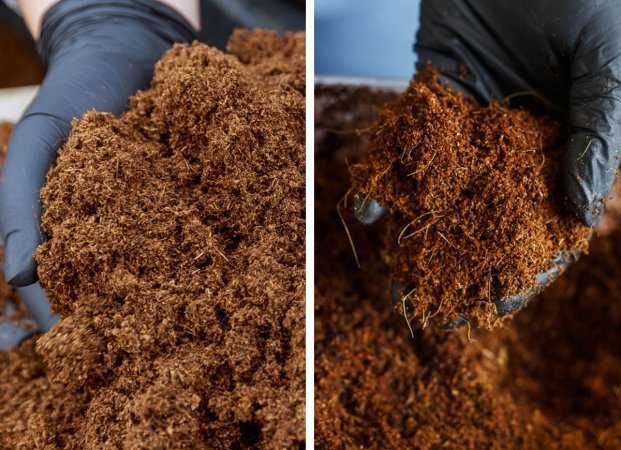 peat moss vs coco coir