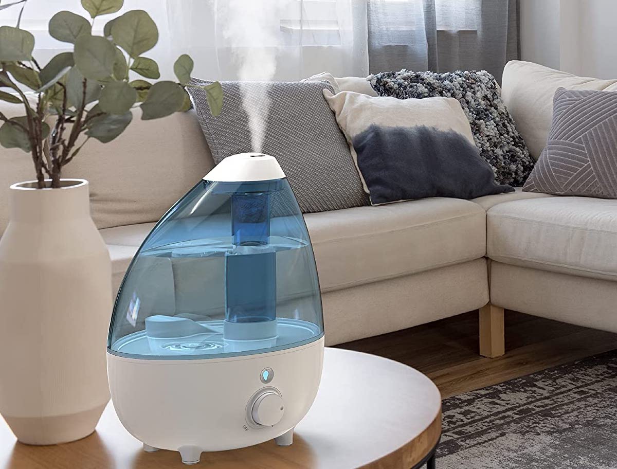 plant humidifier