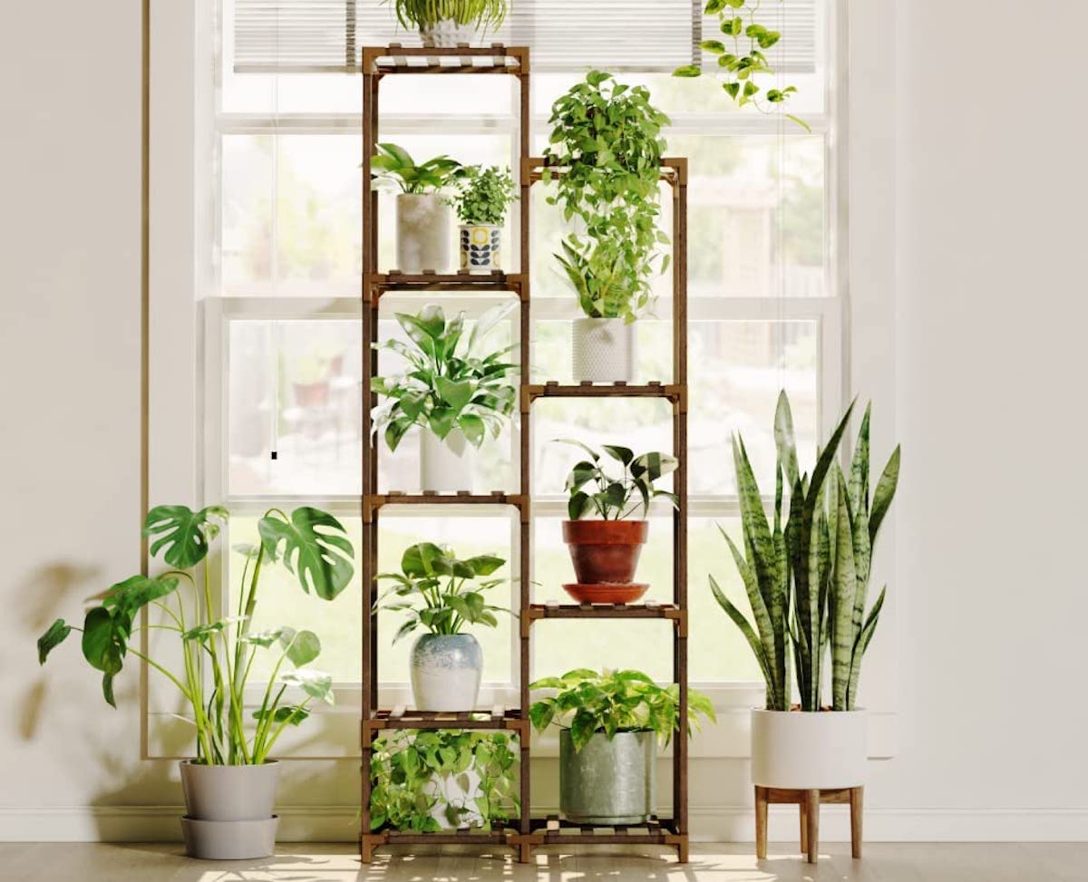 plant stand