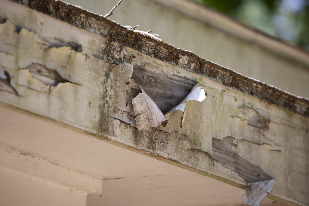 A peeling soffit and fascia that needs to be repaired or replaced.