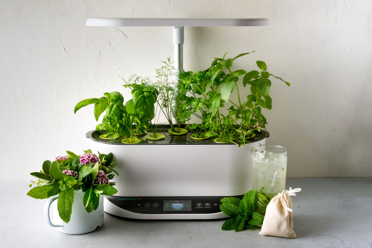 Aerogarden Bounty Basic Indoor Gardening