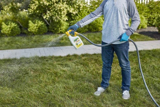 The Best Liquid Lawn Fertilizers Options