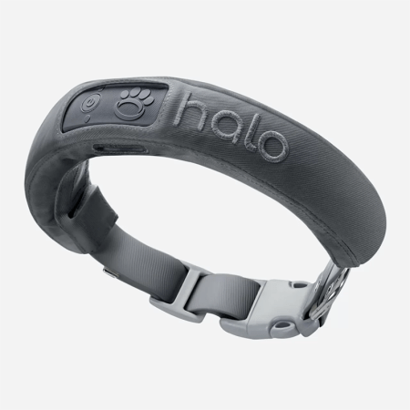  The Best Invisible Dog Fence Option: Halo Collar 3 Wireless Dog Fence and GPS Dog Collar