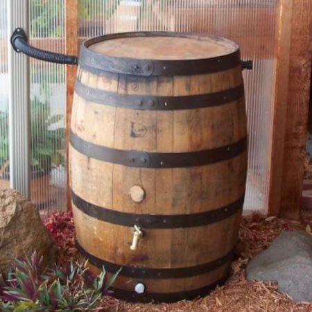  Aunt Molly’s Barrels Whiskey Barrel Rain Barrel hooked up to a drainpipe