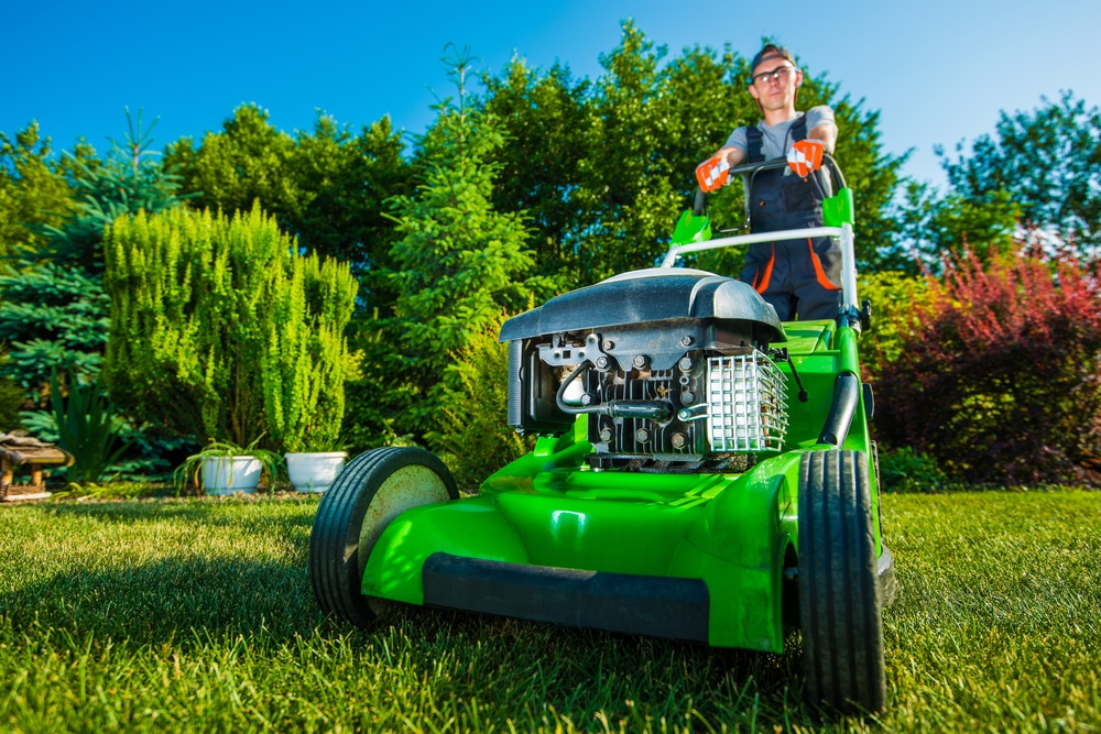 average lawn mowing cost