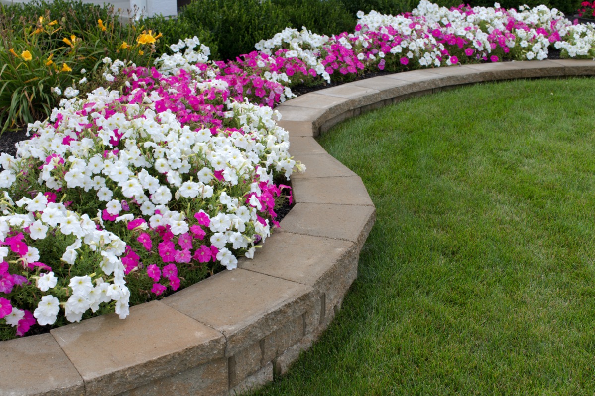 A flower bed surrounded by a curved stone retaining wall. 