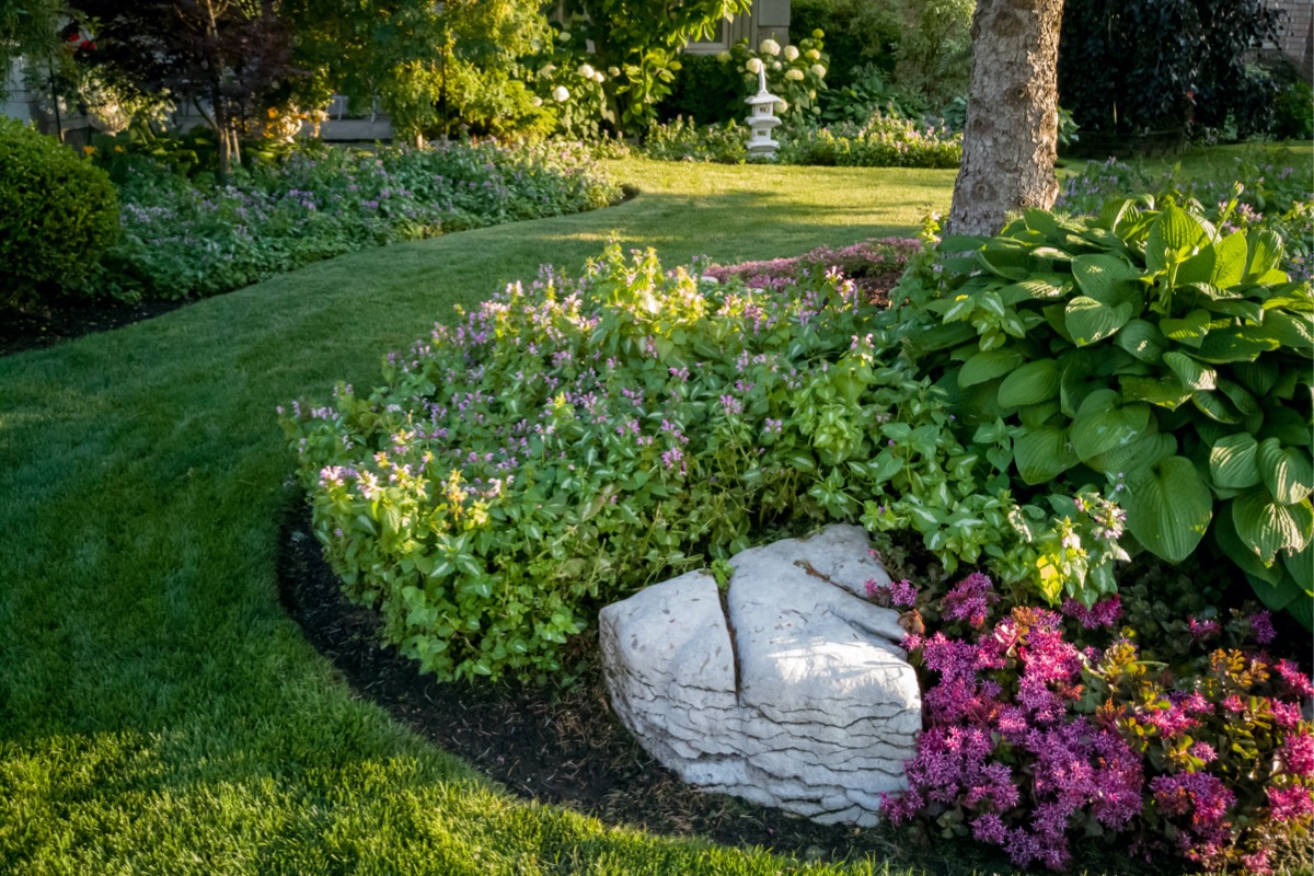 A colorful flower bed in the center of several large boulders as landscaping.