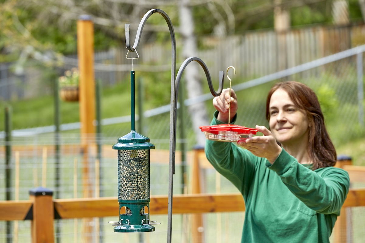 How to Clean Bird Feeders