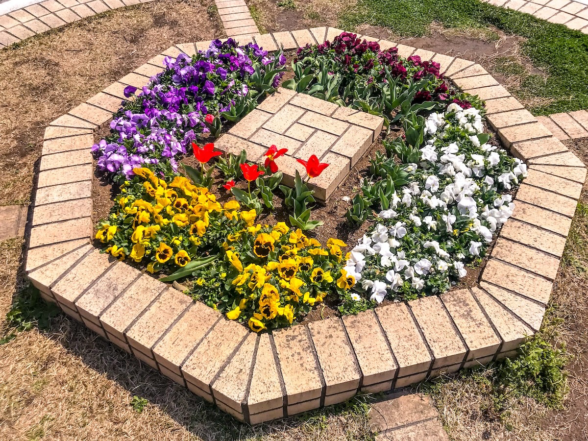 An octagon-shaped flower bed. 