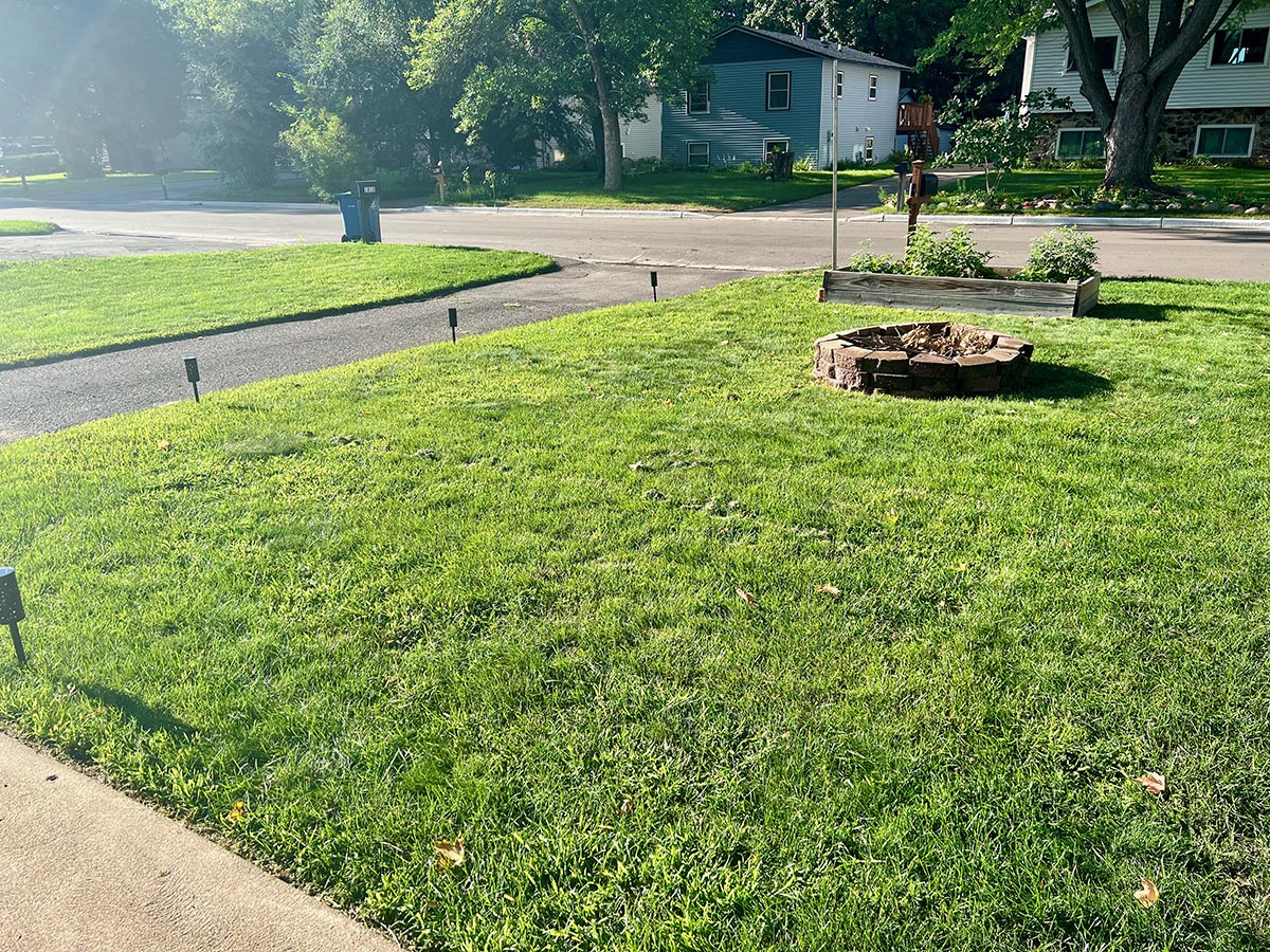 In August, the writer's lawn remains green; houses are seen in the backgorund.