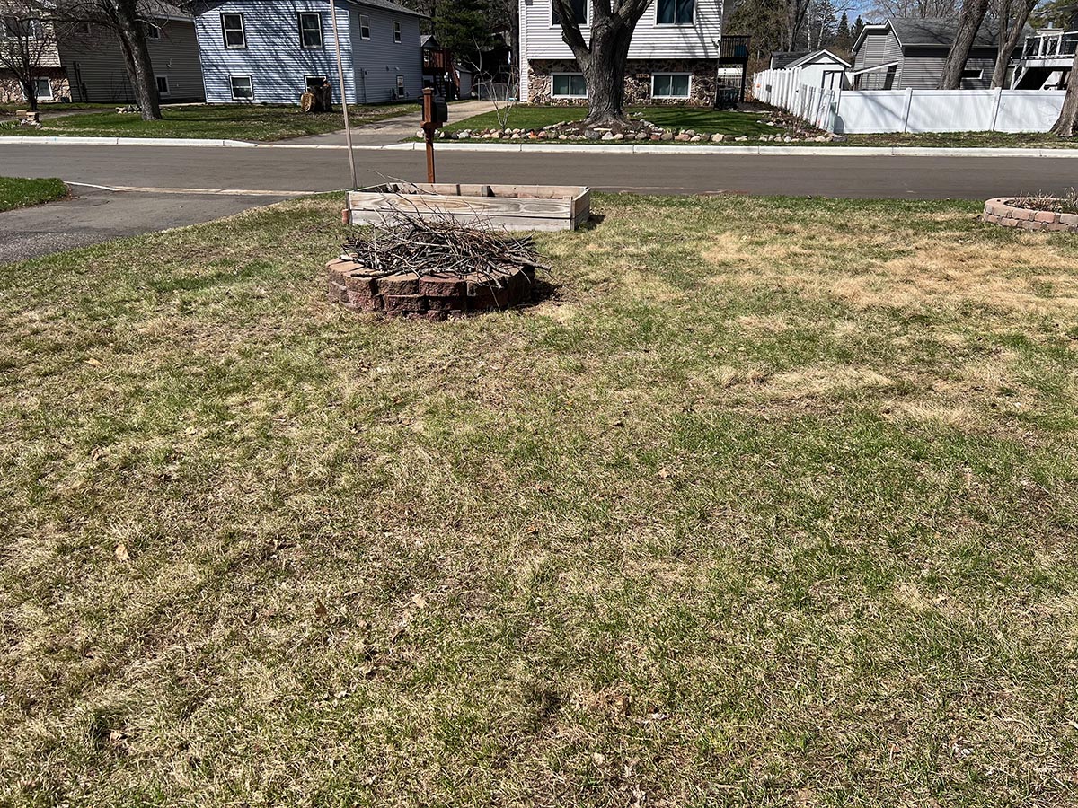 The writer's brown and patchy grass.