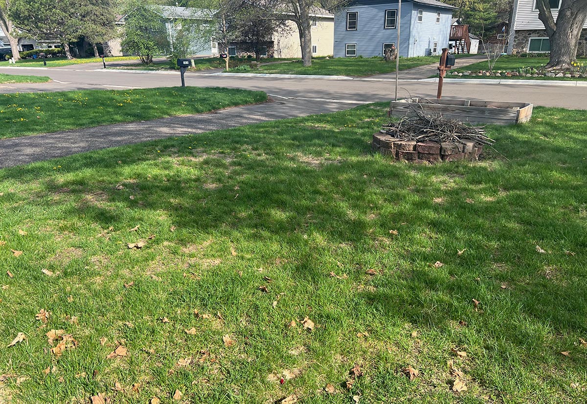 The author's lawn is green again.  