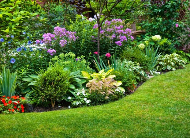 Various flowering shrubs in well maintained landscape.