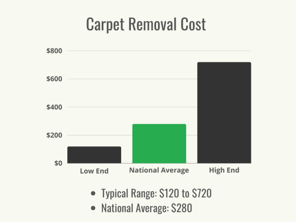 How To: Install Carpet and Transform Your Living Space