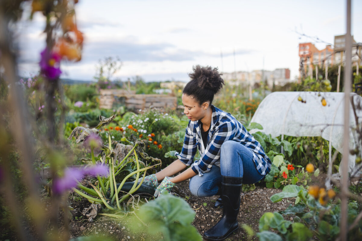 companion planting