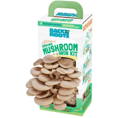  The Best Mushroom-Growing Kits Option: Back to the Roots Organic Mushroom Growing Kit