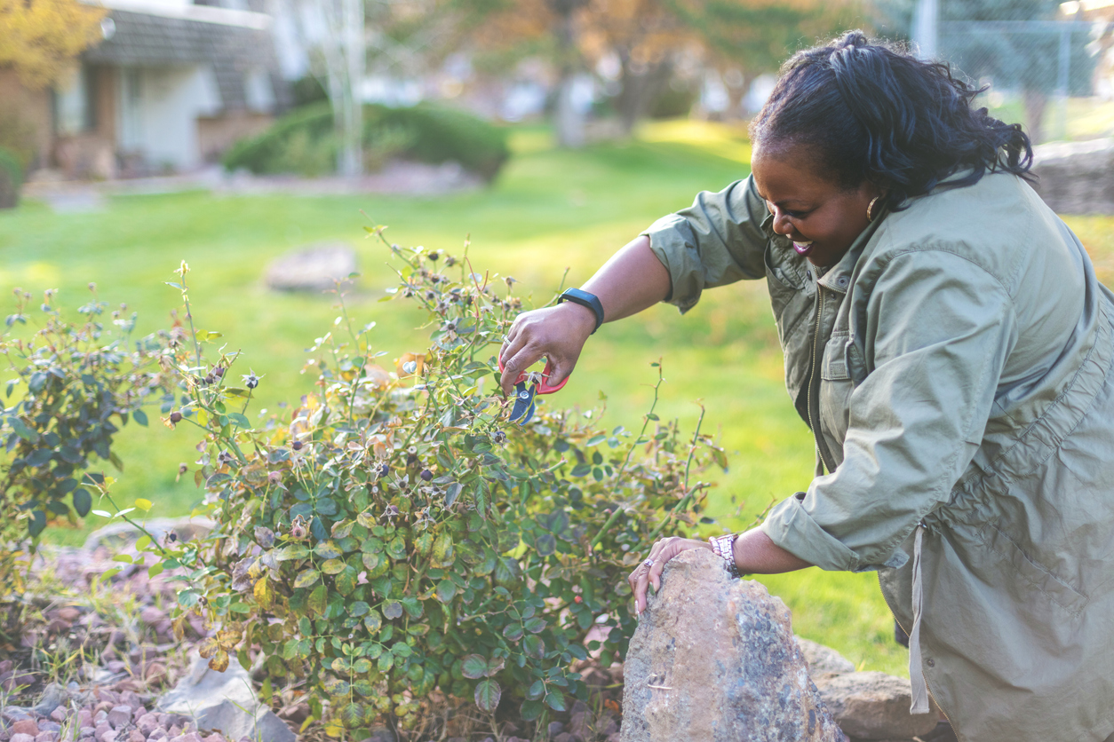 landscaping fixes