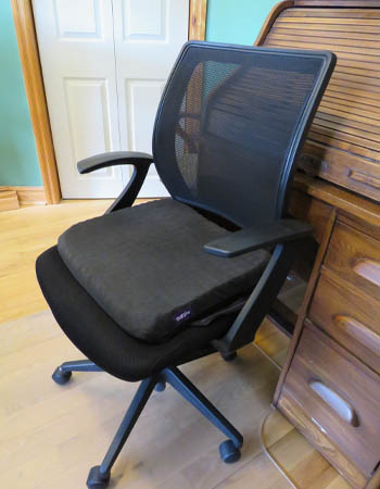 Purple Seat Cushion Review